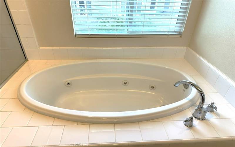 Master Whirlpool Tub