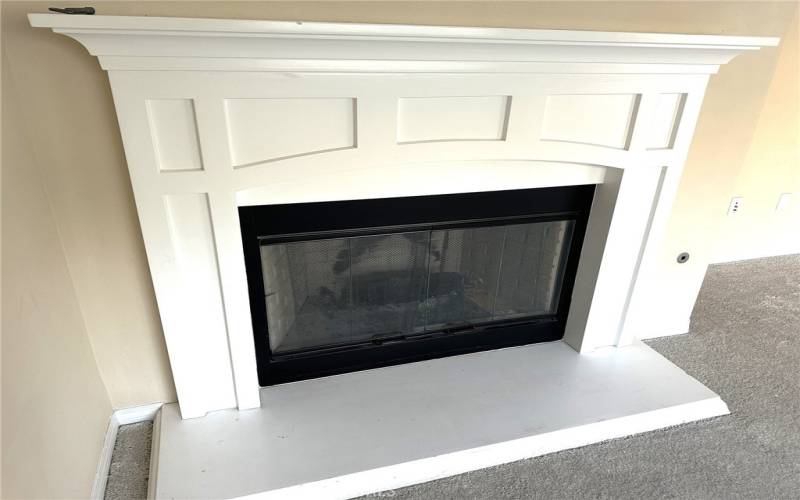 Family Room Fireplace