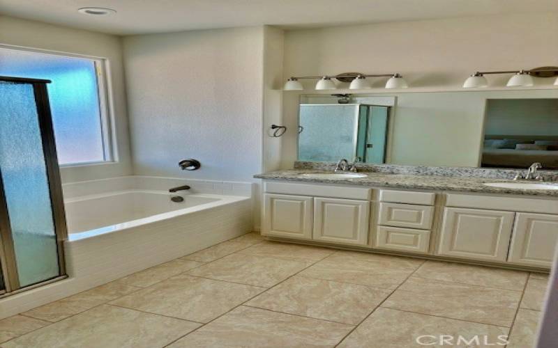 Master bath with dual sins, separate shower and bath