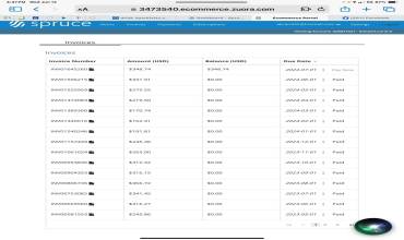 Solar payment history