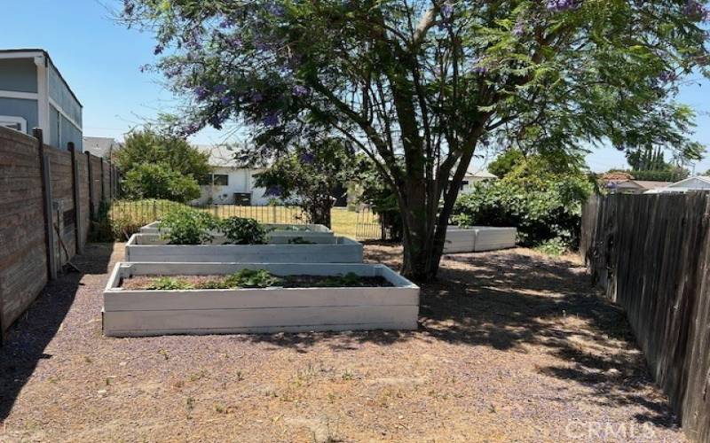 Large Lot, Approx 15,600SF with garden boxes and many fruit trees