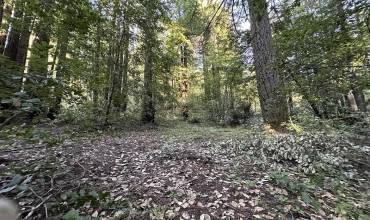 0 Logan Creek Road, Boulder Creek, California 95006, ,Land,Buy,0 Logan Creek Road,ML81973757