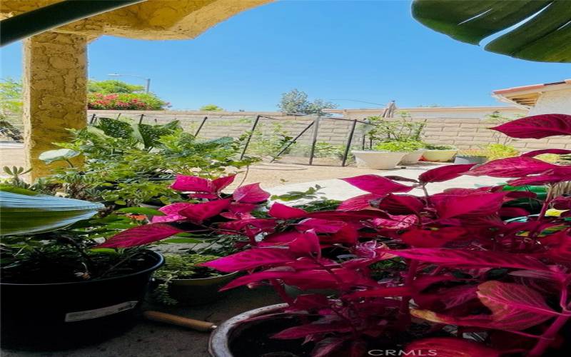 view of gardening area to grow your veggies