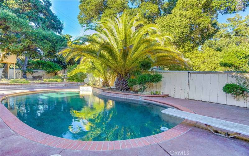 Backyard -Pool