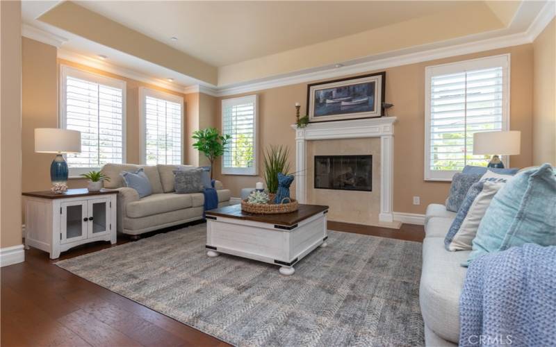 Formal living room has custom lighting, focal point fireplace and plantation shutters.