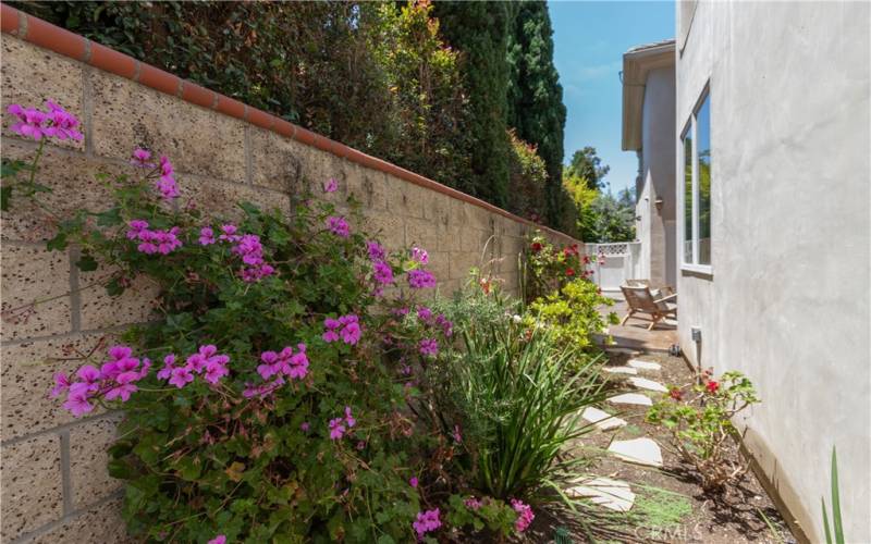 Colorful path at the back of the home.