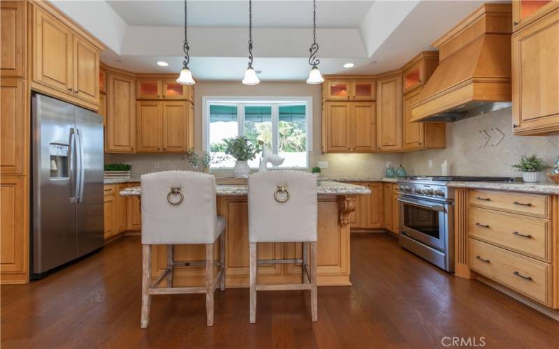 Fabulous kitchen with high end appliances and granite counters.