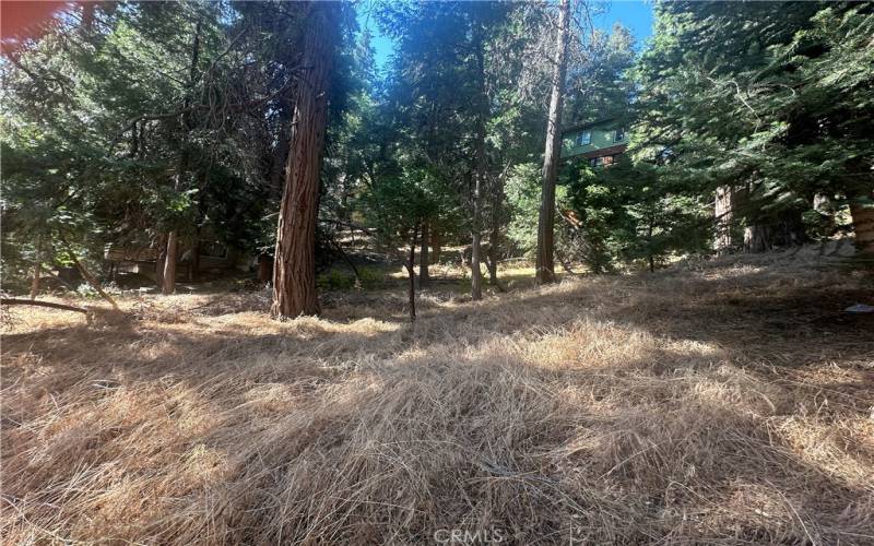 View from inside lot looking toward neighboring Home on Left Side