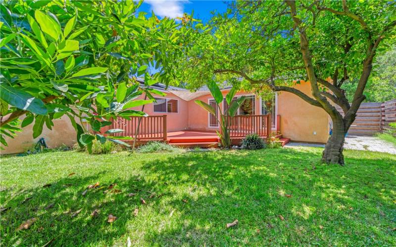 View from back yard to​​‌​​​​‌​​‌‌​​‌​​​‌‌​​​‌​​‌‌​​‌‌​​‌‌​​​​ house.