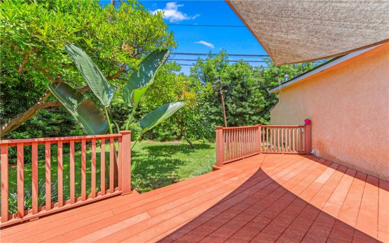 Lush Back yard with fruit trees