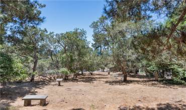 1658 Benson Ave & 1675 Berwick Drive, Cambria, California 93428, ,Land,Buy,1658 Benson Ave & 1675 Berwick Drive,NS24148693