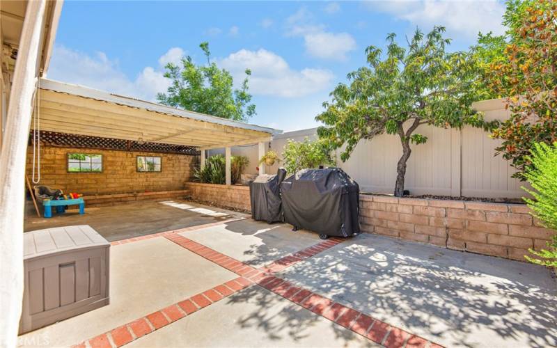 Back Yard Gate Entry (Nectarine and Magnolia Tree)