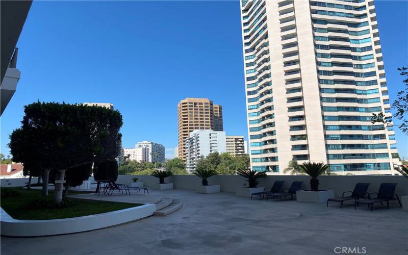 Wilshire Regent Pool area