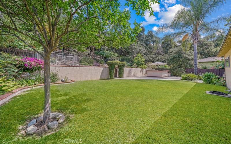 Backyard with built-in BBQ