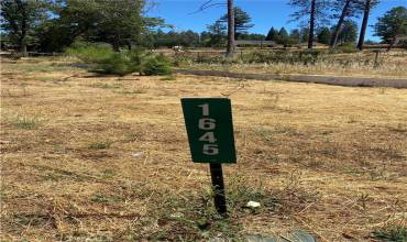 1645 Wagstaff Road, Paradise, California 95969, ,Land,Buy,1645 Wagstaff Road,SN24148827