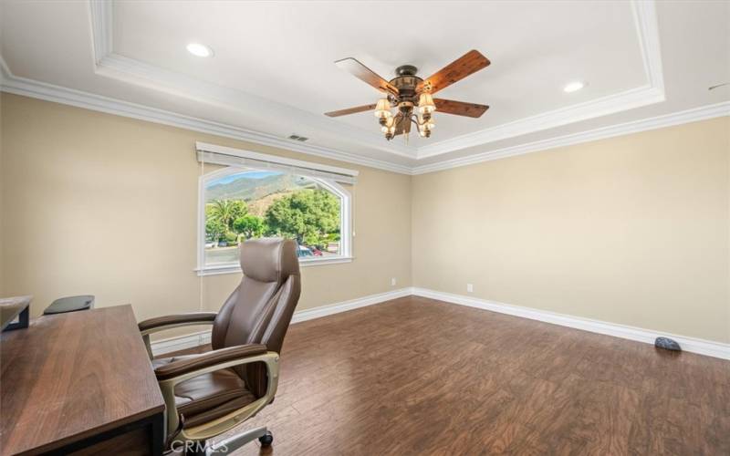 Upstairs Office - coffered ceiling, crown molding, custom arched doors, ceiling fan