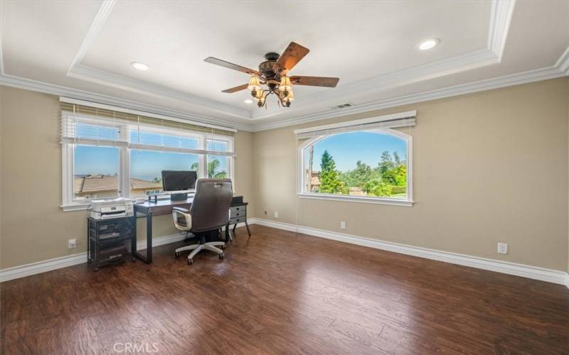 Upstairs Office - coffered ceiling, crown molding, custom arched doors, ceiling fan