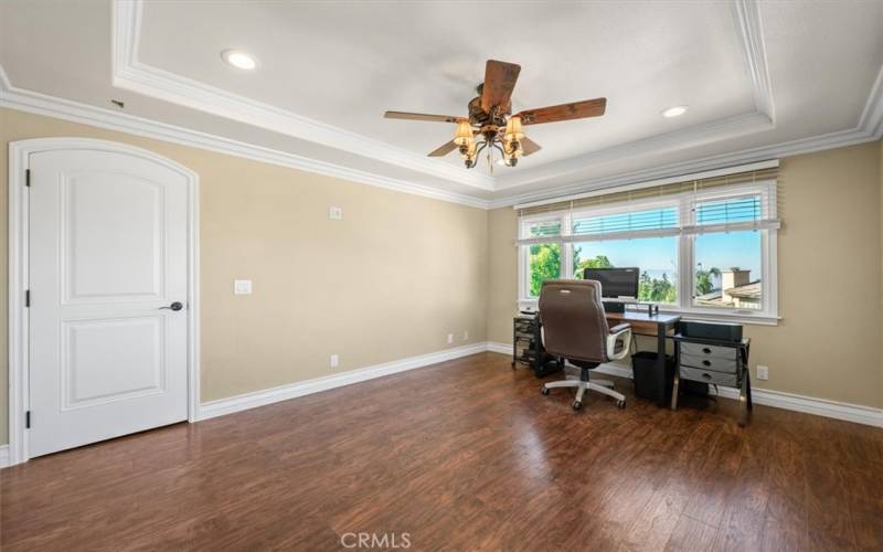 Upstairs Office - coffered ceiling, crown molding, custom arched doors, ceiling fan