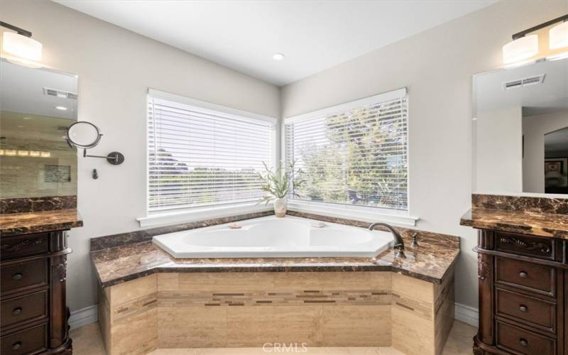 Primary Bathroom Jetted Tub with amazing views
