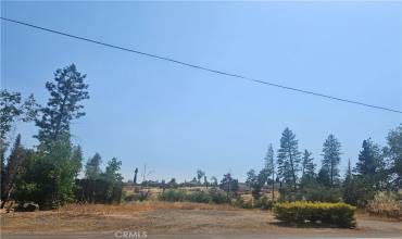 1232 Pearson Road, Paradise, California 95969, ,Land,Buy,1232 Pearson Road,SN24149052