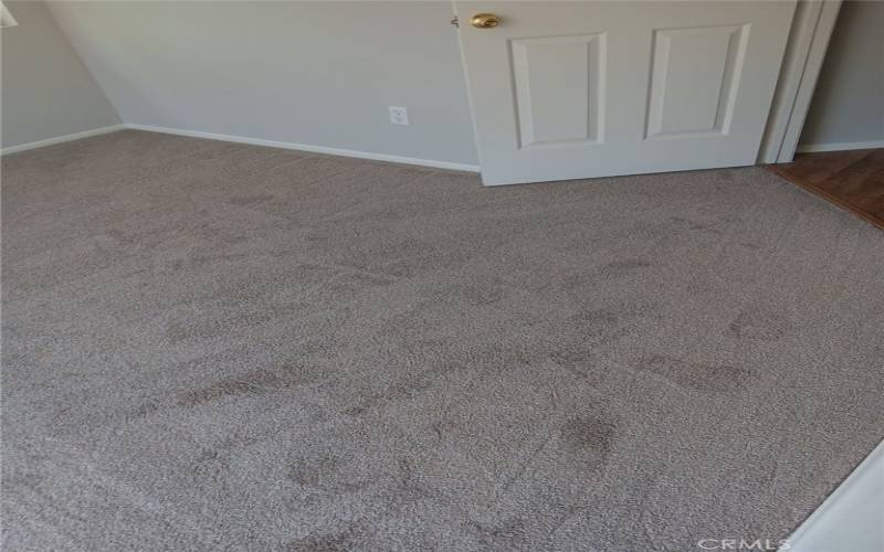 Primary Bedroom - New Paint and New Carpeting