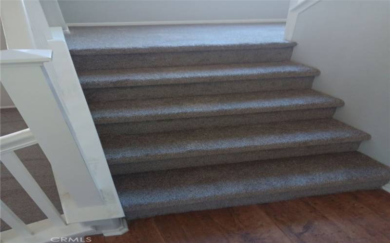 Staircase with New Carpeting