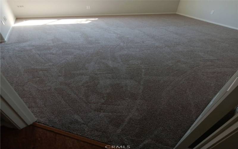 Primary Bedroom - New Carpeting