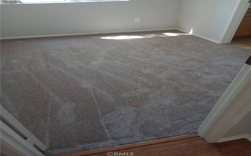 New Carpet in Bedroom 2