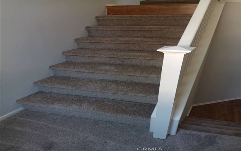 Staircase with New Carpeting