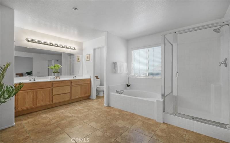 separate step in shower, soaking tub and privacy stall