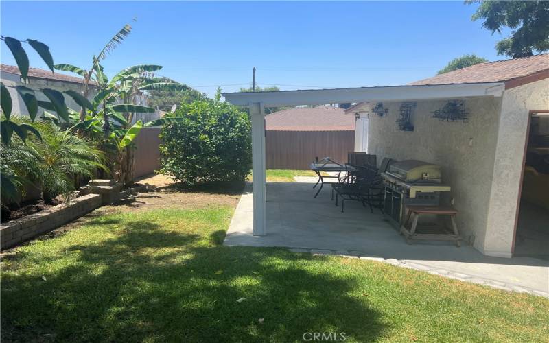 Rear Yard / Side of 2 Car Garage and covered Patio