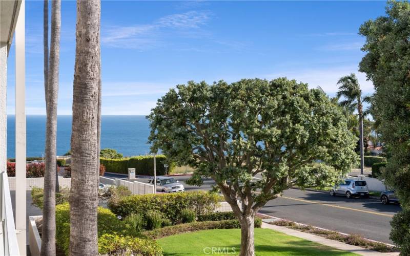 Gorgeous view from the balcony and living room