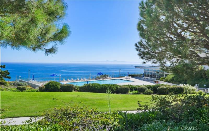 Picturesque views while lounging at the pool (similar views from the fitness center)