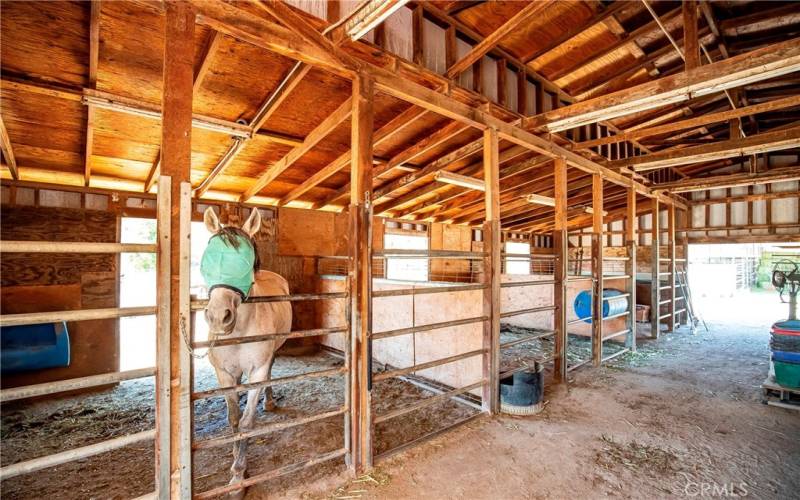 4 stall breezeway barn