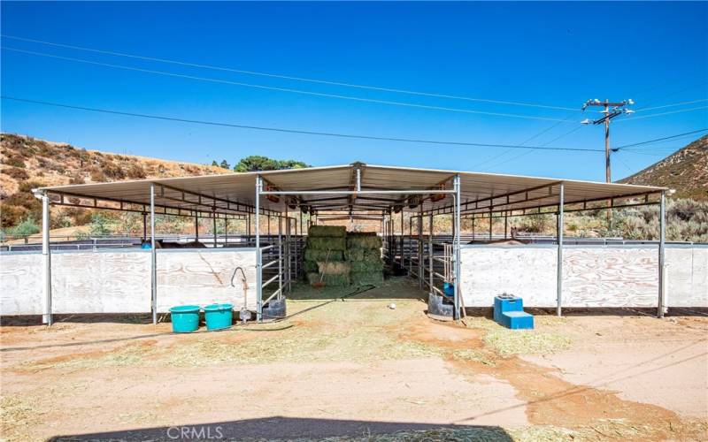 8 stall mare motel