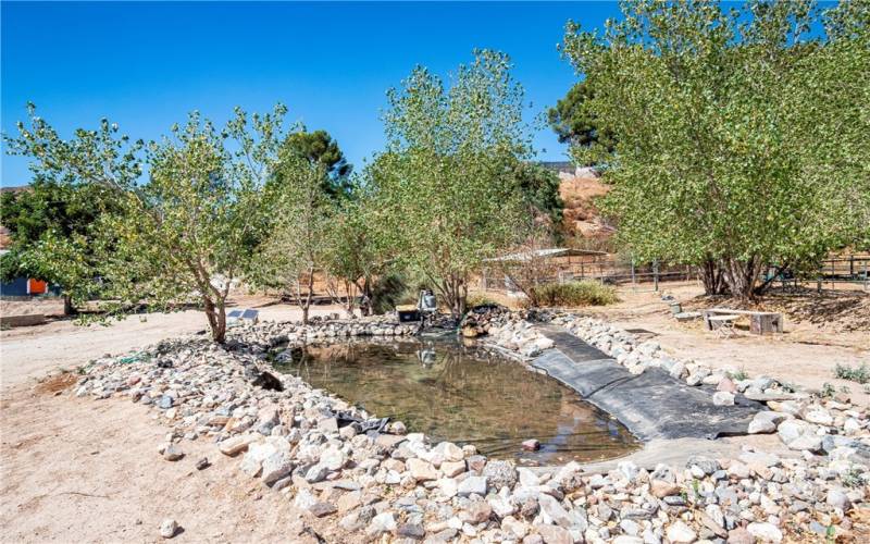 Pond with waterfall