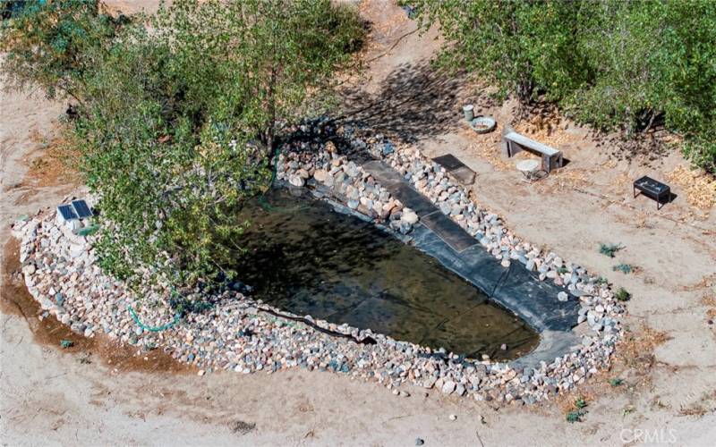 Pond w/waterfall