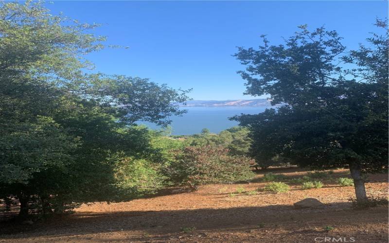 lake views through the trees