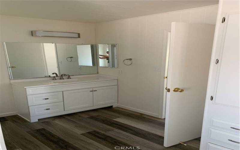 Sink area in Primary Bathroom