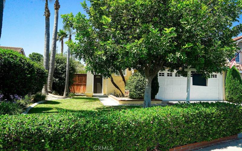 Beauitfully landscaped and hardscaped front yard.