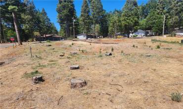 13712 Endicot Circle, Magalia, California 95954, ,Land,Buy,13712 Endicot Circle,SN24149814