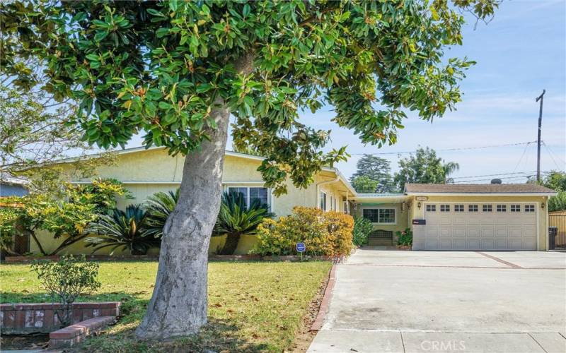 Charming home with a gorgeous Magnolia Tree in the Front Yard.