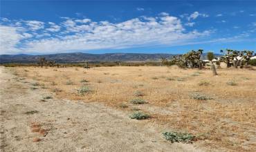 0 Arena Road, Pinon Hills, California 92372, ,Land,Buy,0 Arena Road,IV24149902