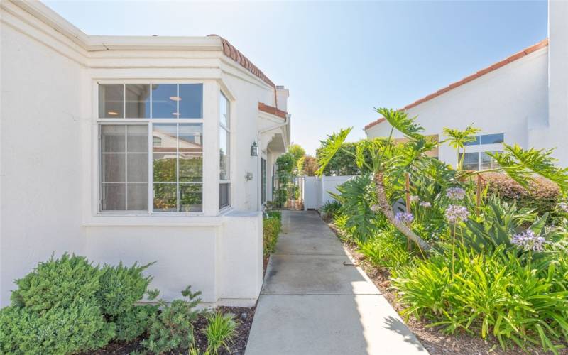 Front Walkway To Front Door, Luscious Greenery Everywhere.