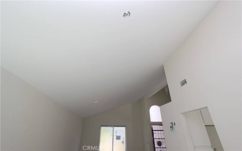 Living/Dining ceilings