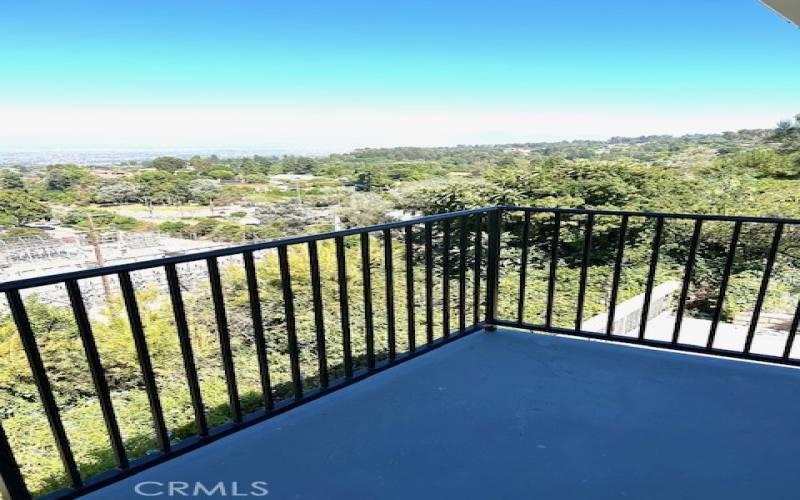 Balcony Off Primary Bedroom