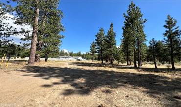 42725 Fox Farm Rd, Big Bear Lake, California 92315, ,Land,Buy,42725 Fox Farm Rd,PW24148372