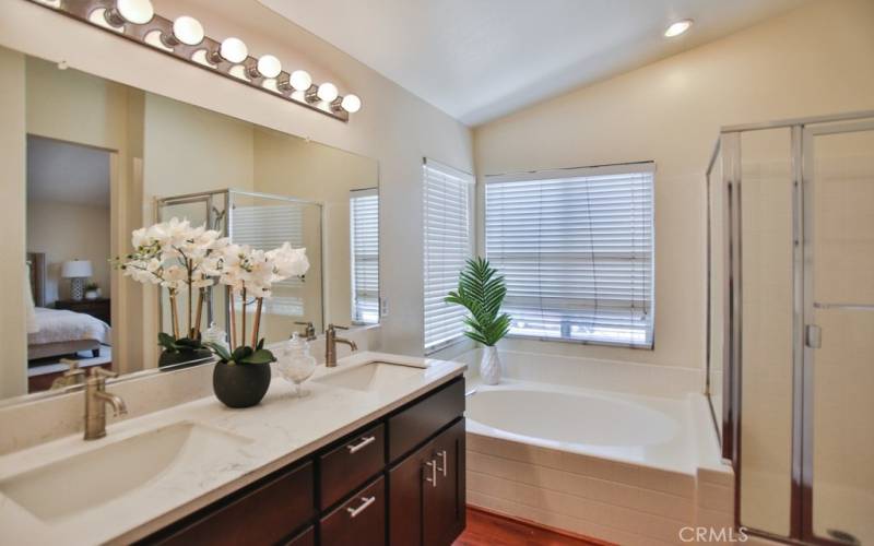 Master bedroom bathroom