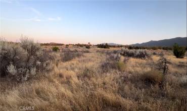 0 Mare Drive, Anza, California 92539, ,Land,Buy,0 Mare Drive,SW24150885