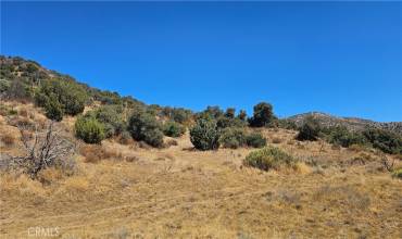 0 E Antium Road, Acton, California 93550, ,Land,Buy,0 E Antium Road,SR24151071